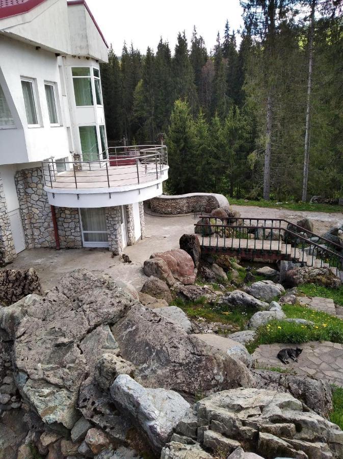 Vila Liliacul Biharfüred Kültér fotó